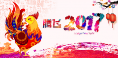 洁柔2017——春节快乐！